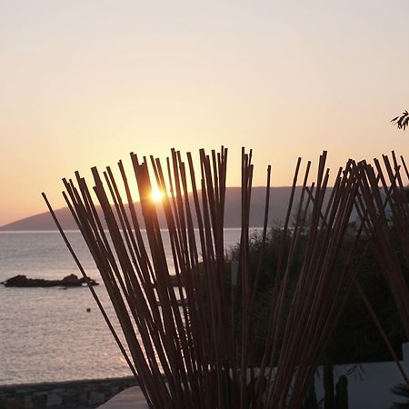 Pyrthea Houses Koufonisia Exterior foto